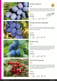 Starkl katalog Strana 122