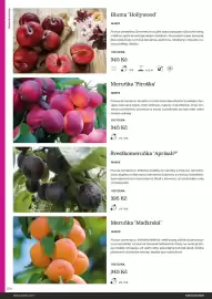 Starkl katalog Strana 124