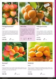 Starkl katalog Strana 125