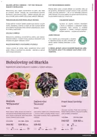 Starkl katalog Strana 129