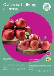 Starkl katalog Strana 13