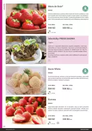 Starkl katalog Strana 130