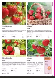 Starkl katalog Strana 131