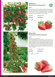 Starkl katalog Strana 132