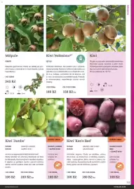 Starkl katalog Strana 133