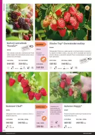 Starkl katalog Strana 134