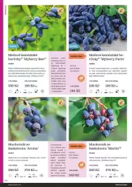 Starkl katalog Strana 136