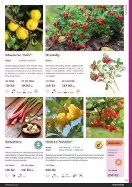 Starkl katalog Strana 137