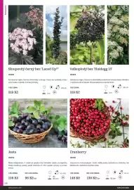 Starkl katalog Strana 138