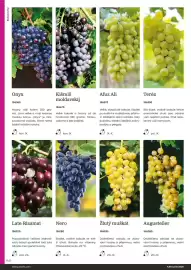 Starkl katalog Strana 140