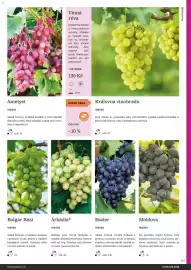 Starkl katalog Strana 141