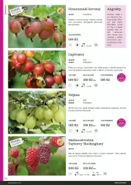 Starkl katalog Strana 142