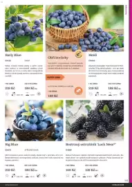 Starkl katalog Strana 143