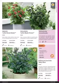 Starkl katalog Strana 17