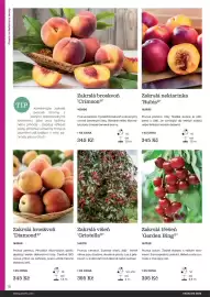 Starkl katalog Strana 18