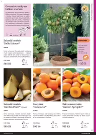 Starkl katalog Strana 19