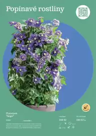 Starkl katalog Strana 21