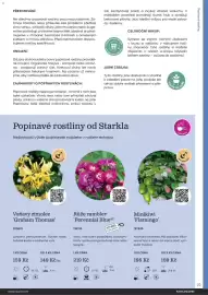 Starkl katalog Strana 23