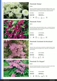 Starkl katalog Strana 24