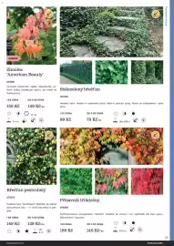 Starkl katalog Strana 25