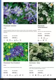 Starkl katalog Strana 26