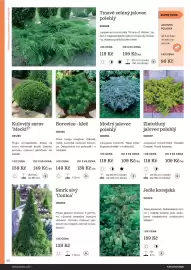 Starkl katalog Strana 30