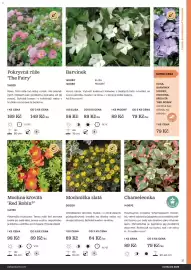 Starkl katalog Strana 31