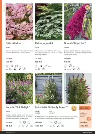 Starkl katalog Strana 32