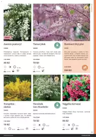 Starkl katalog Strana 33