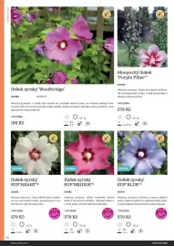 Starkl katalog Strana 34