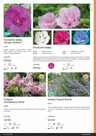 Starkl katalog Strana 35