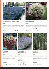 Starkl katalog Strana 36