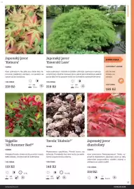 Starkl katalog Strana 37