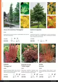 Starkl katalog Strana 38