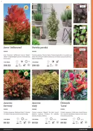 Starkl katalog Strana 39