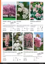 Starkl katalog Strana 40