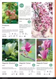 Starkl katalog Strana 41