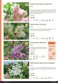 Starkl katalog Strana 42