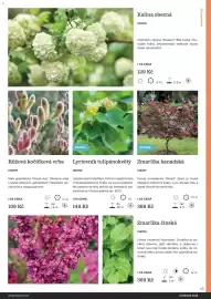 Starkl katalog Strana 43