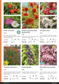 Starkl katalog Strana 44