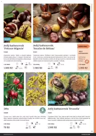 Starkl katalog Strana 45