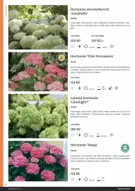 Starkl katalog Strana 46