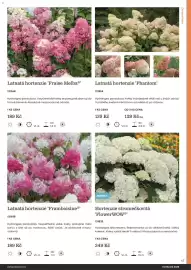 Starkl katalog Strana 47