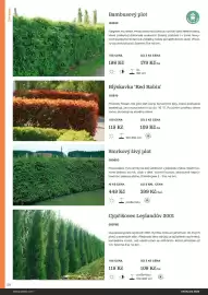 Starkl katalog Strana 50