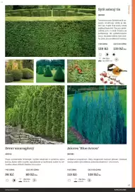 Starkl katalog Strana 51