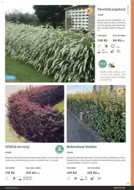 Starkl katalog Strana 53