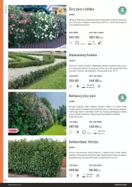 Starkl katalog Strana 54