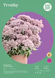 Starkl katalog Strana 55