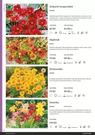 Starkl katalog Strana 58