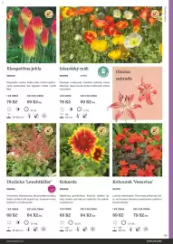 Starkl katalog Strana 59